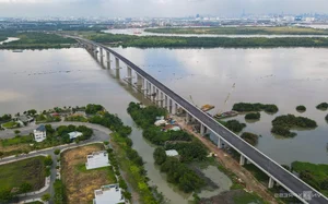 Nhon Trach Bridge: A Look at Ring Road 3’s Largest Infrastructure Project - image 9