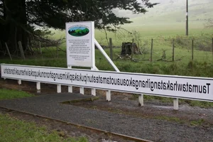 Uncovering New Zealand: From Epic Landscapes to Rich Traditions - image 2