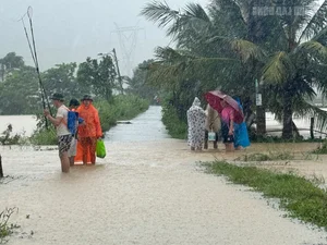 Da Nang Midnight Floods: Communities Struggle After Sudden Devastation - image 8