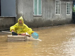 Da Nang Midnight Floods: Communities Struggle After Sudden Devastation - image 0