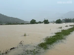 Da Nang Midnight Floods: Communities Struggle After Sudden Devastation - image 3