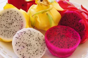 Fascinating Facts About Edible Cactus Fruits Captivating Gardeners Worldwide - image 6