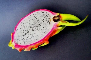 Fascinating Facts About Edible Cactus Fruits Captivating Gardeners Worldwide - image 5
