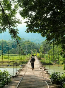 Discovering the Golden Harvest Season in Pu Luong This June - image 6