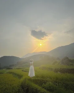 Discovering the Golden Harvest Season in Pu Luong This June - image 2