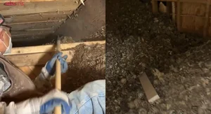 Homeowner Discovers Incredible Hidden Treasure While Renovating an Old House: A Historical Find - image 7