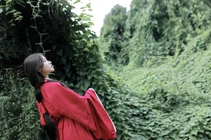 Elegant Visual Narrative: YiTuYu Art Language Vol.5123 Xiao Xiao Lan Collection - image 1