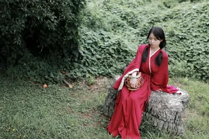 Elegant Visual Narrative: YiTuYu Art Language Vol.5123 Xiao Xiao Lan Collection - image 14