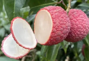 Why Are These Chinese Lychees Priced at 700,000 VND per Kilogram? - image 0