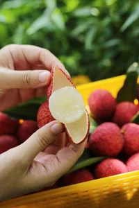 Why Are These Chinese Lychees Priced at 700,000 VND per Kilogram? - image 5