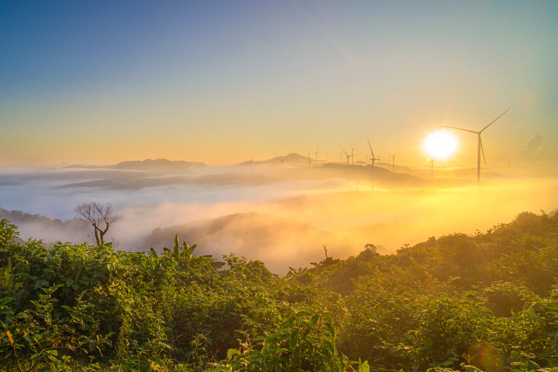 Chasing Clouds: An Unforgettable Cloud-Hunting Experience Amidst Majestic Wind Turbines
