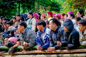 Experience the Vibrant Traditional Bull Fighting Festival in Bao Lam, Cao Bang - image 1