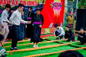 Experience the Vibrant Traditional Bull Fighting Festival in Bao Lam, Cao Bang - image 0