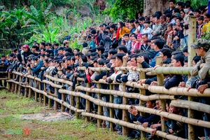 Experience the Vibrant Traditional Bull Fighting Festival in Bao Lam, Cao Bang - image 2