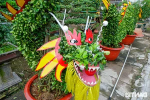 Unique Dragon-Shaped Kumquat Trees: A Masterpiece by a Hanoi Artisan for the Lunar New Year - image 3