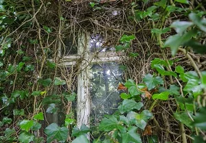 Haunting Abandoned Houses Reclaimed by Nature Over Decades - image 11
