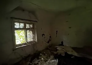 Haunting Abandoned Houses Reclaimed by Nature Over Decades - image 7
