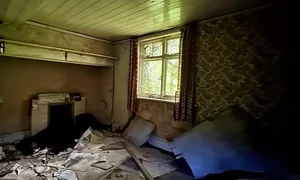Haunting Abandoned Houses Reclaimed by Nature Over Decades - image 6