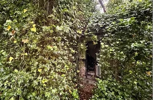 Haunting Abandoned Houses Reclaimed by Nature Over Decades - image 10