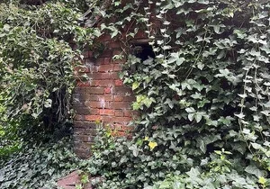 Haunting Abandoned Houses Reclaimed by Nature Over Decades - image 8