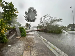 Typhoon Yagi Makes Landfall: Severe Storms Cause Widespread Damage - image 11