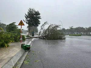 Typhoon Yagi Makes Landfall: Severe Storms Cause Widespread Damage - image 0