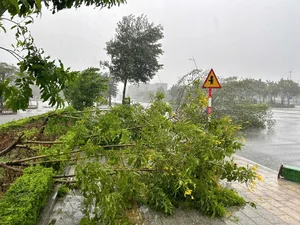 Typhoon Yagi Makes Landfall: Severe Storms Cause Widespread Damage - image 5