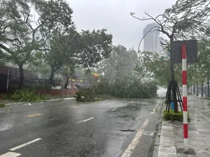 Typhoon Yagi Makes Landfall: Severe Storms Cause Widespread Damage - image 8