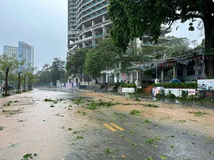 Typhoon Yagi Makes Landfall: Severe Storms Cause Widespread Damage - image 1