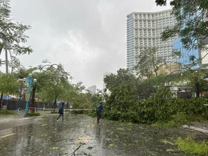 Typhoon Yagi Makes Landfall: Severe Storms Cause Widespread Damage - image 7