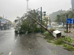 Typhoon Yagi Makes Landfall: Severe Storms Cause Widespread Damage - image 3