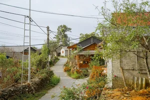 Discover the Peaceful and Majestic Beauty of Si Thau Chai Village - image 3