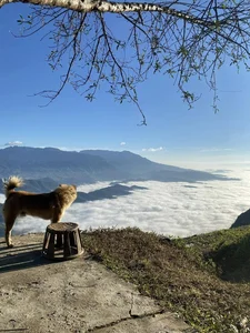 Discover the Peaceful and Majestic Beauty of Si Thau Chai Village - image 1