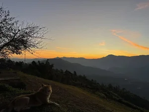 Discover the Peaceful and Majestic Beauty of Si Thau Chai Village - image 2