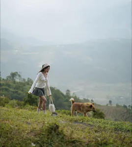 Discover the Peaceful and Majestic Beauty of Si Thau Chai Village - image 6