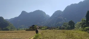 Discovering Tranquility: A Journey to the Remote 'Three No' Village in Lang Son for Ultimate Slow Living - image 1