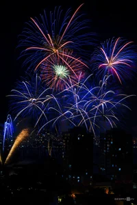 China and Finland Face Off in Spectacular Han River Fireworks Competition - image 11
