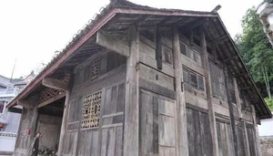 From Run-Down Shack to $120 Million Treasure: The Golden Phoebe Wood Discovery - image 0