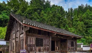 From Run-Down Shack to $120 Million Treasure: The Golden Phoebe Wood Discovery - image 3