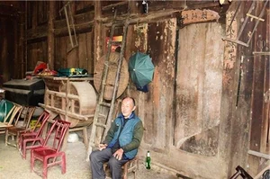 From Run-Down Shack to $120 Million Treasure: The Golden Phoebe Wood Discovery - image 4