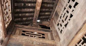 From Run-Down Shack to $120 Million Treasure: The Golden Phoebe Wood Discovery - image 1