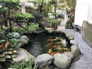 Is Building a Fish Pond at Home Good? Feng Shui Principles for Wealth and Prosperity - image 4