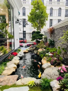 Is Building a Fish Pond at Home Good? Feng Shui Principles for Wealth and Prosperity - image 1