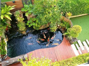 Is Building a Fish Pond at Home Good? Feng Shui Principles for Wealth and Prosperity - image 13