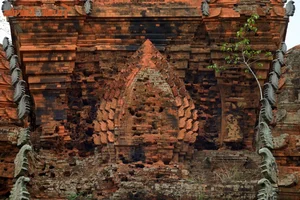 Unsolved Mysteries Behind the Ancient Bricks of Cham Towers - image 11