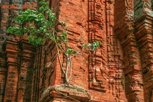 Unsolved Mysteries Behind the Ancient Bricks of Cham Towers - image 9