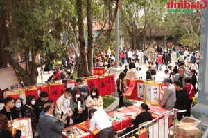 Mysteries of Den Tranh Temple: Exploring the Sacred Festival of Quan Lon Tuan Tranh in Hai Duong - image 10