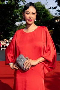 Miss Vietnam Do Thi Ha Stuns in Leg-Lengthening Dress - image 2