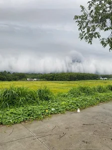 Dramatic Skies Over Binh Duong: Netizens React to Eerie Cloud Formations - image 6