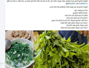 Tận thấy loại rau rừng 150.000 đồng/kg vẫn 'cháy hàng' - image 2